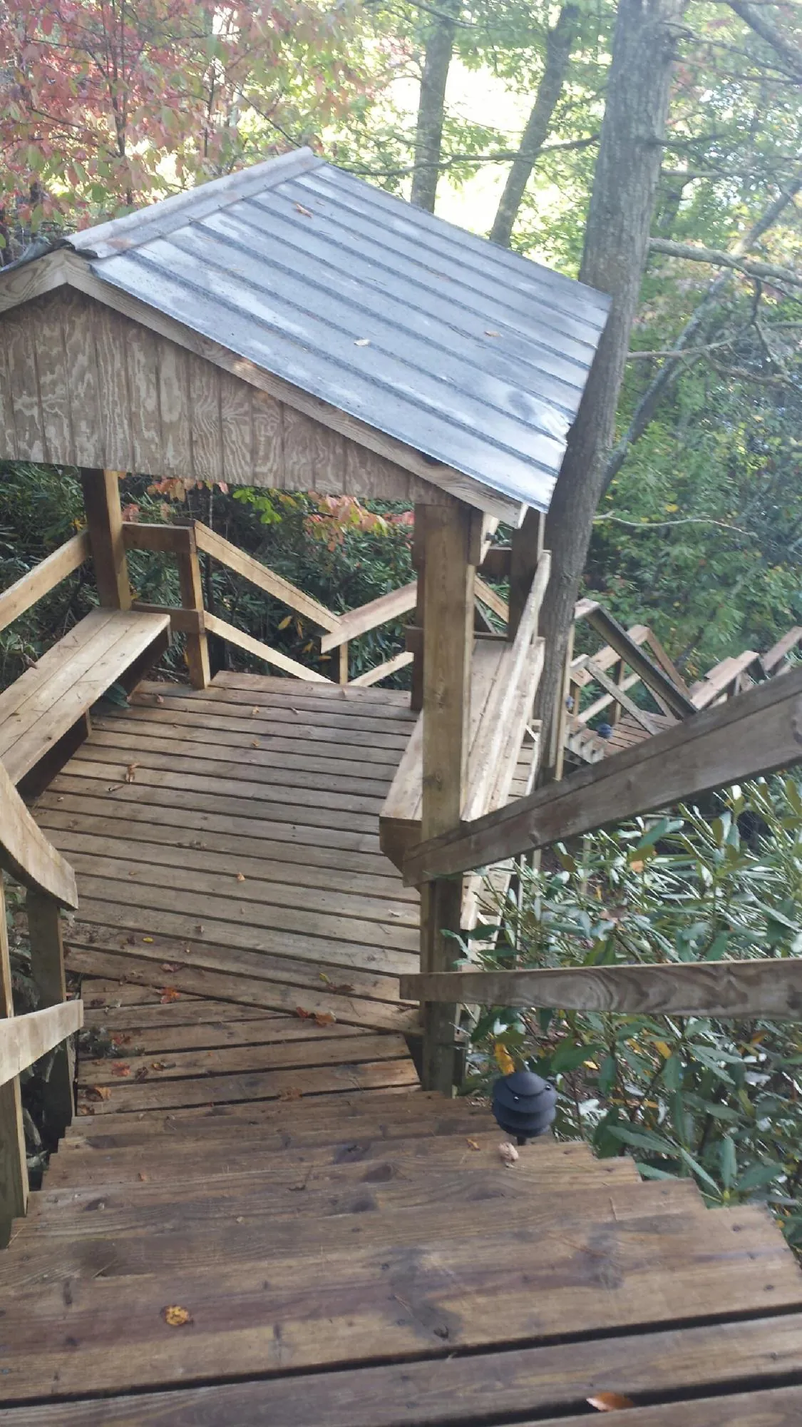 Metal roofed shelter over wooden steps on a wooded walkway — Skylight Repair & Installation work by our crew in Delta City