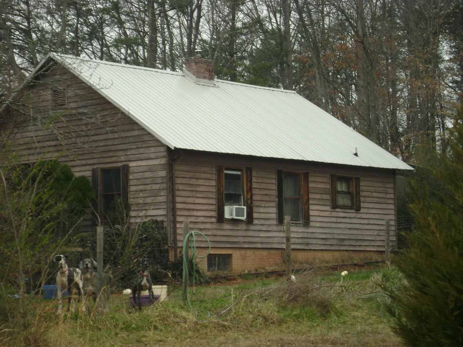 White metal roof on an old wood sided farmhouse, from a Metal Roof Installation job in Delta City
